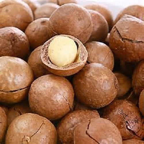 Premium Macadamia Nuts