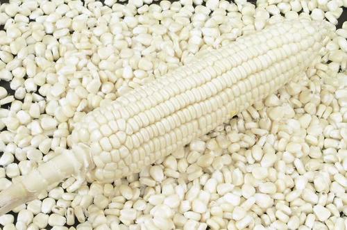 Premium Maize
