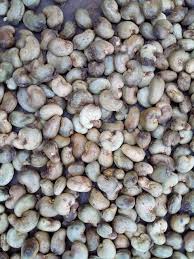 Raw Cashew Nuts from Tanzania
